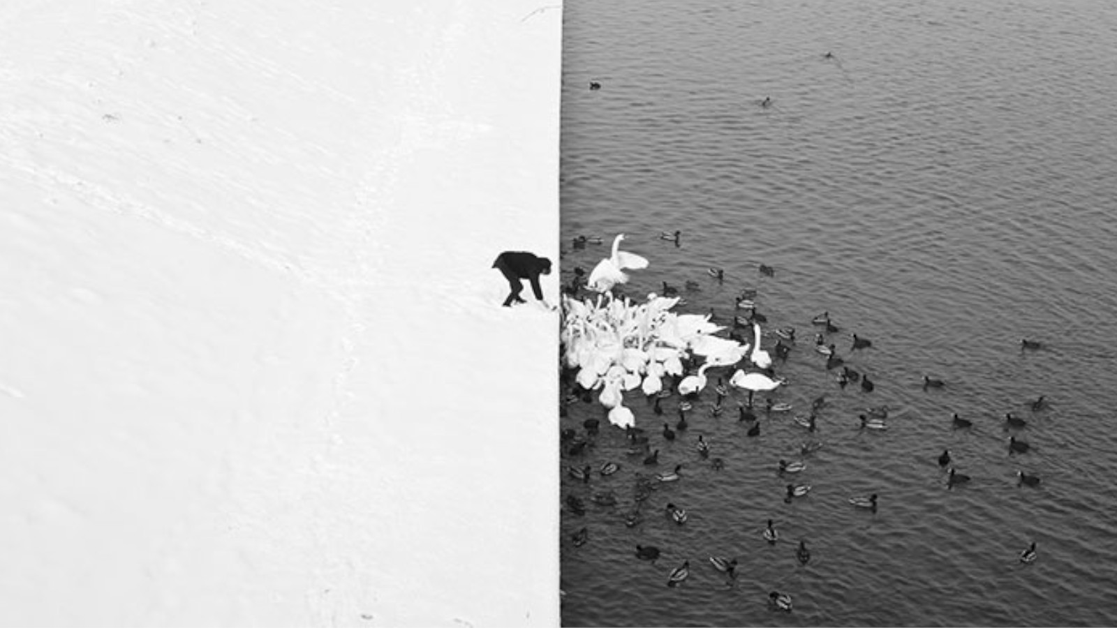 LA DÉMOCRATIE EST MORTE – R I P